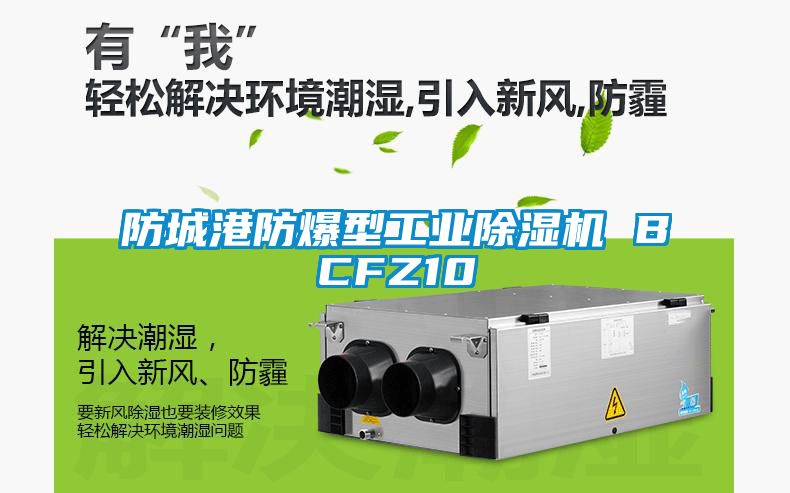 防城港防爆型工業(yè)除濕機 BCFZ10