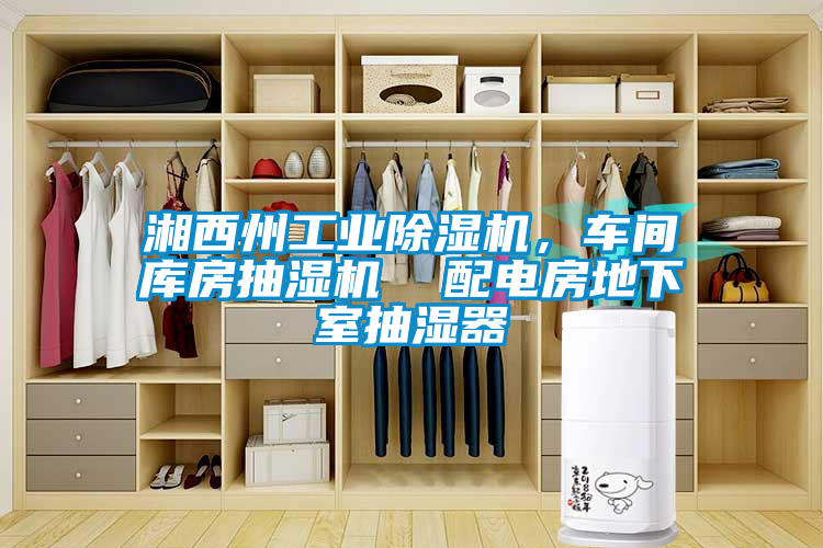湘西州工業(yè)除濕機(jī)，車間庫(kù)房抽濕機(jī)  配電房地下室抽濕器