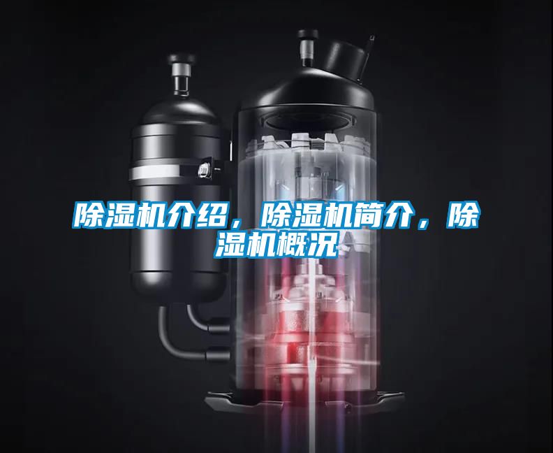除濕機介紹，除濕機簡介，除濕機概況