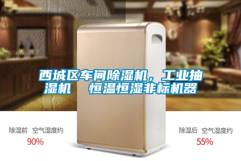 西城區車間除濕機，工業抽濕機  恒溫恒濕非標機器