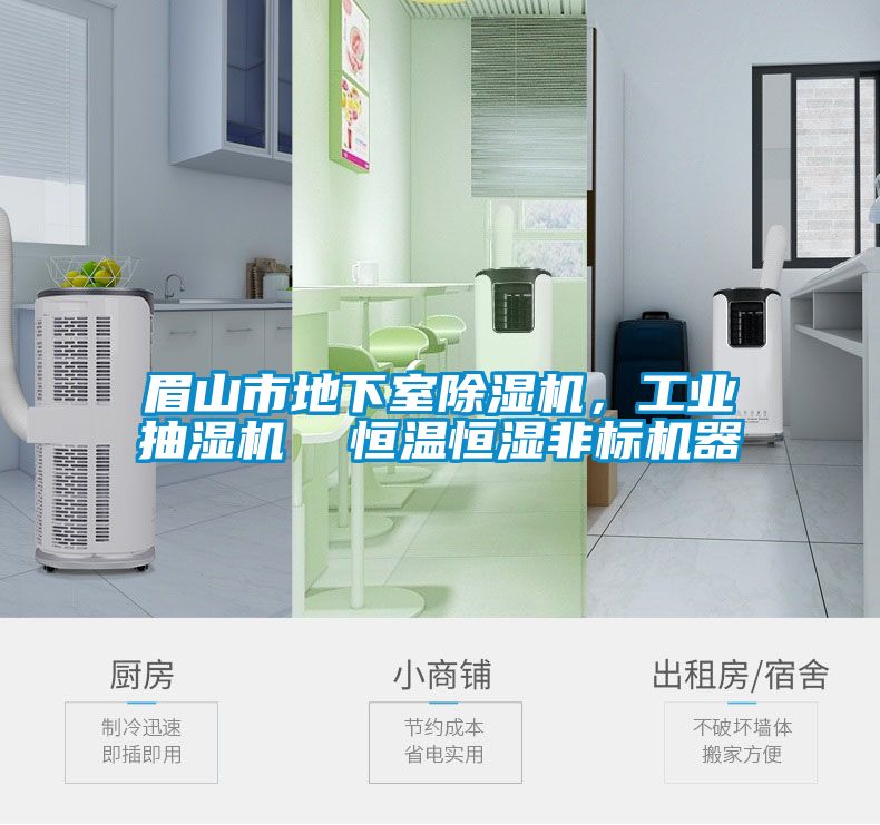 眉山市地下室除濕機，工業抽濕機  恒溫恒濕非標機器
