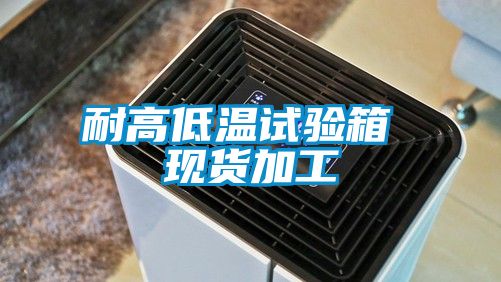耐高低溫試驗箱 現貨加工