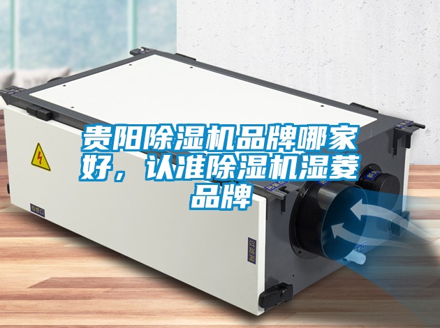 貴陽(yáng)除濕機(jī)品牌哪家好，認(rèn)準(zhǔn)除濕機(jī)濕菱品牌