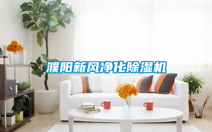 濮陽新風(fēng)凈化除濕機