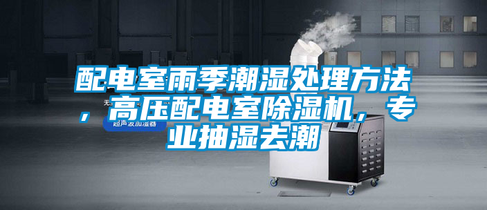 配電室雨季潮濕處理方法，高壓配電室除濕機，專業(yè)抽濕去潮