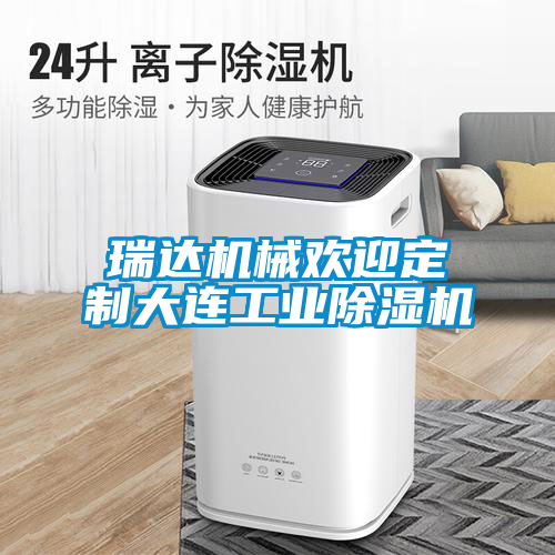 瑞達機械歡迎定制大連工業(yè)除濕機