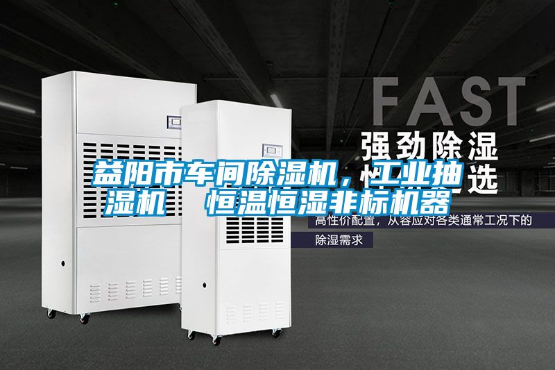 益陽市車間除濕機(jī)，工業(yè)抽濕機(jī)  恒溫恒濕非標(biāo)機(jī)器