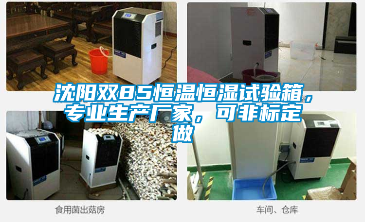 沈陽雙85恒溫恒濕試驗箱，專業生產廠家，可非標定做