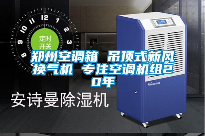 鄭州空調(diào)箱 吊頂式新風(fēng)換氣機 專注空調(diào)機組20年