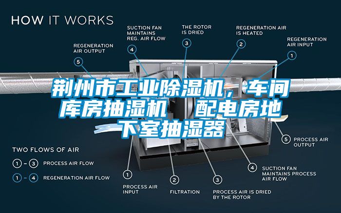荊州市工業(yè)除濕機(jī)，車間庫(kù)房抽濕機(jī)  配電房地下室抽濕器