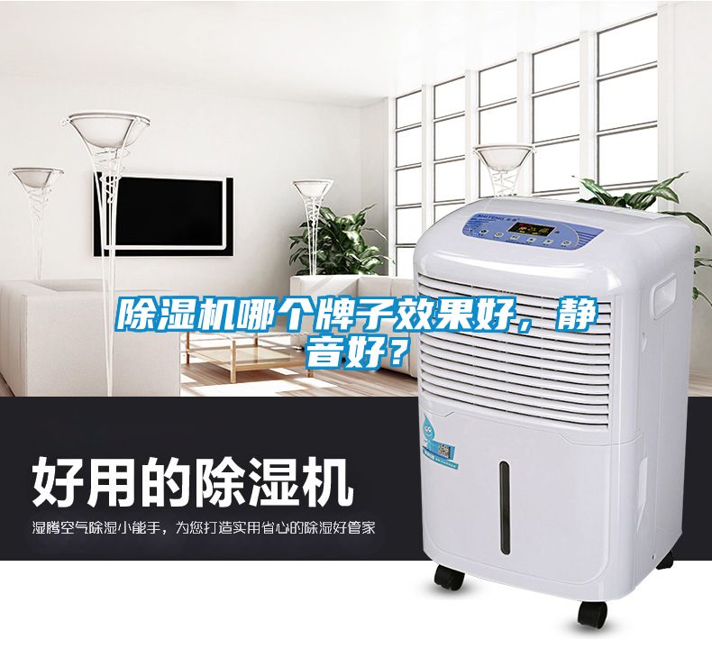 除濕機哪個牌子效果好，靜音好？