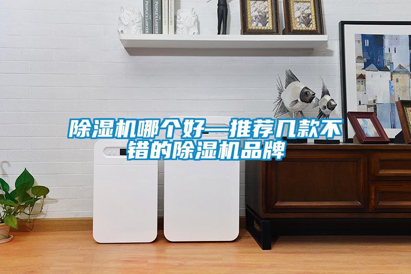除濕機(jī)哪個好—推薦幾款不錯的除濕機(jī)品牌