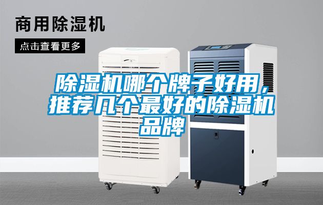 除濕機哪個牌子好用，推薦幾個最好的除濕機品牌