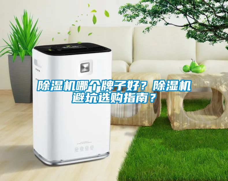 除濕機哪個牌子好？除濕機避坑選購指南？