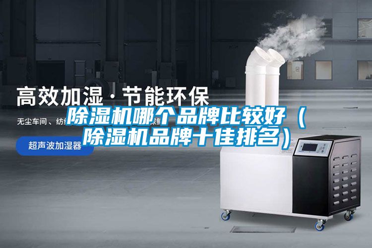 除濕機(jī)哪個品牌比較好（除濕機(jī)品牌十佳排名）