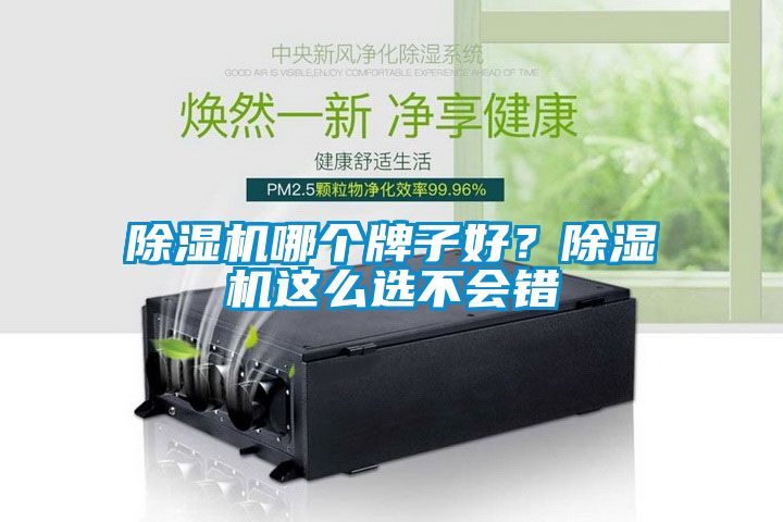 除濕機哪個牌子好？除濕機這么選不會錯