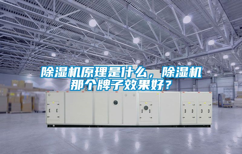 除濕機(jī)原理是什么，除濕機(jī)那個(gè)牌子效果好？