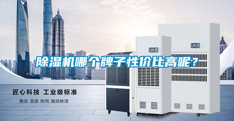 除濕機哪個牌子性價比高呢？