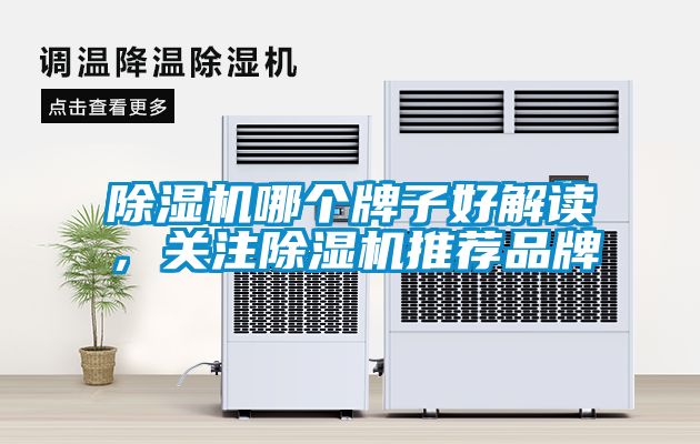 除濕機哪個牌子好解讀，關注除濕機推薦品牌