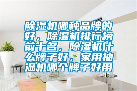除濕機哪種品牌的好，除濕機排行榜前十名，除濕機什么牌子好，家用抽濕機哪個牌子好用