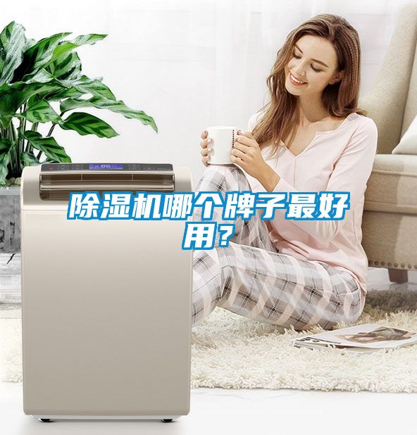 除濕機哪個牌子最好用？