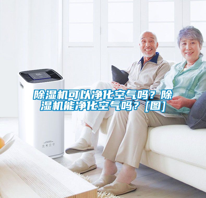 除濕機可以凈化空氣嗎？除濕機能凈化空氣嗎？[圖]