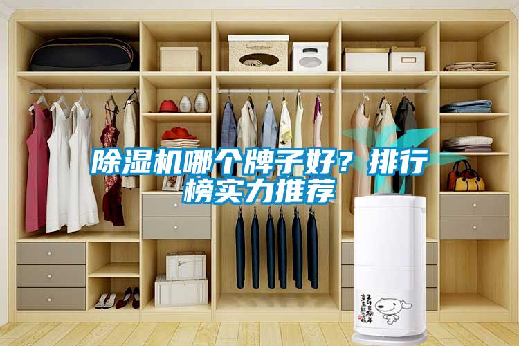 除濕機哪個牌子好？排行榜實力推薦
