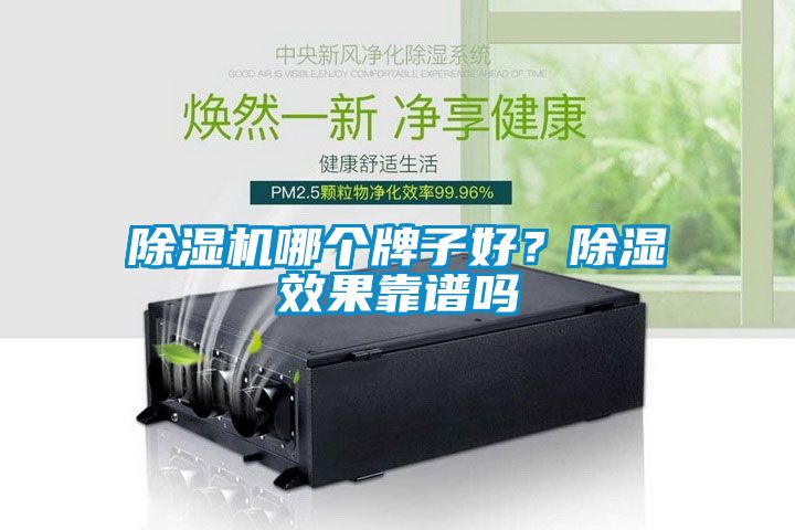 除濕機哪個牌子好？除濕效果靠譜嗎