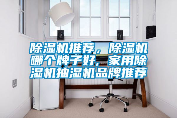 除濕機推薦，除濕機哪個牌子好, 家用除濕機抽濕機品牌推薦