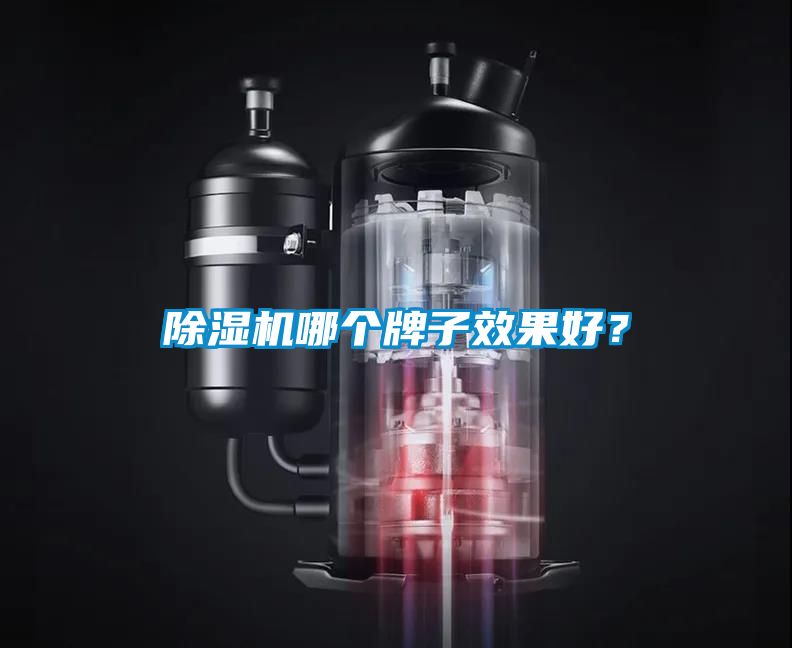 除濕機哪個牌子效果好？