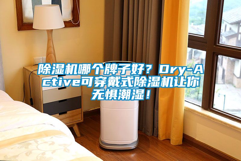 除濕機哪個牌子好？Dry-Active可穿戴式除濕機讓你無懼潮濕！