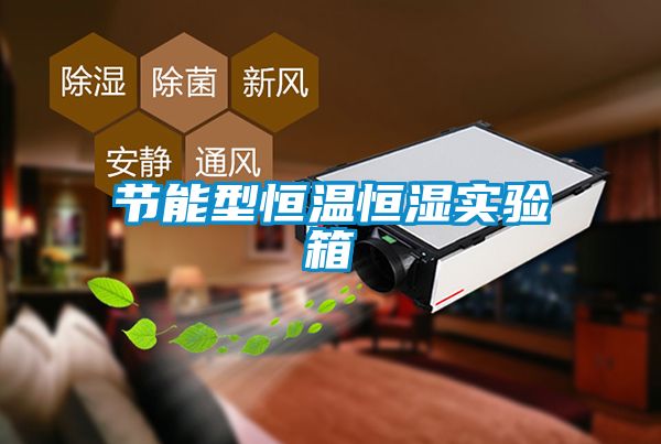 節(jié)能型恒溫恒濕實驗箱