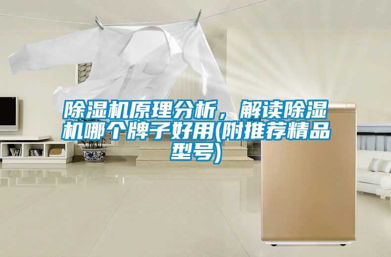 除濕機(jī)原理分析，解讀除濕機(jī)哪個(gè)牌子好用(附推薦精品型號(hào))