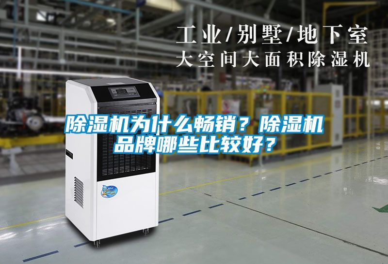 除濕機(jī)為什么暢銷？除濕機(jī)品牌哪些比較好？