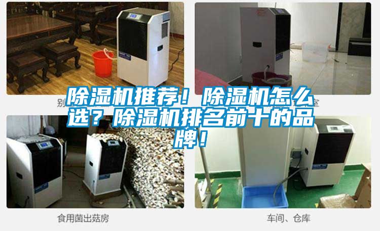 除濕機推薦！除濕機怎么選？除濕機排名前十的品牌！