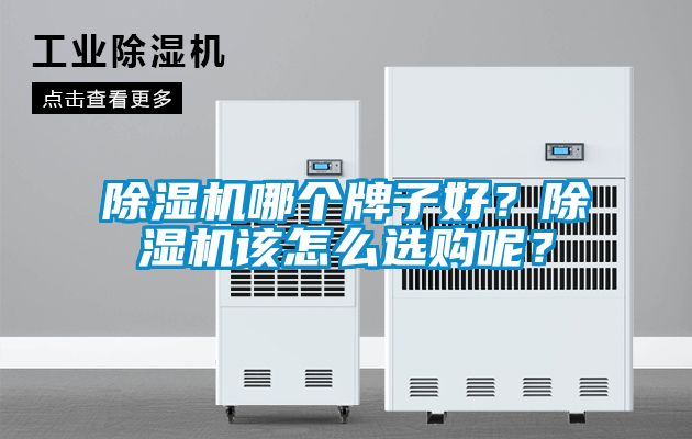 除濕機哪個牌子好？除濕機該怎么選購呢？