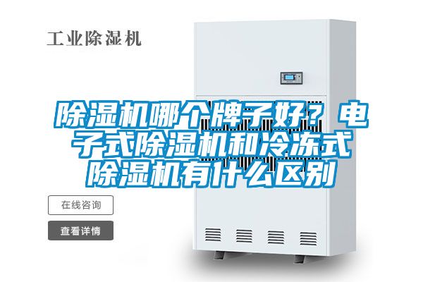 除濕機哪個牌子好？電子式除濕機和冷凍式除濕機有什么區別