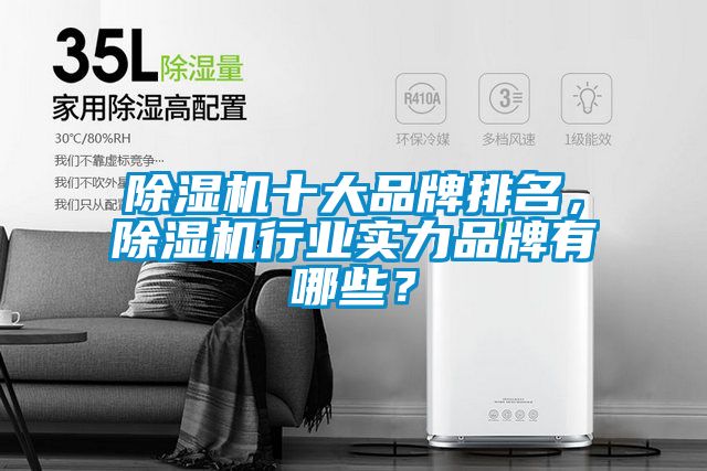 除濕機(jī)十大品牌排名，除濕機(jī)行業(yè)實(shí)力品牌有哪些？