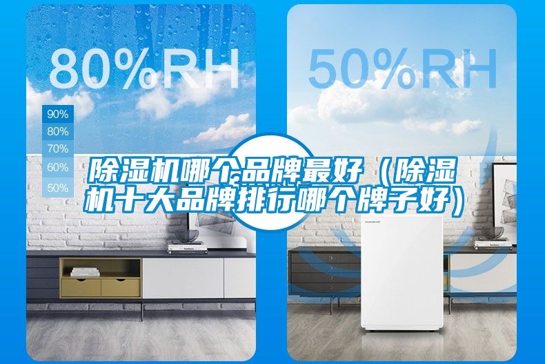 除濕機(jī)哪個品牌最好（除濕機(jī)十大品牌排行哪個牌子好）