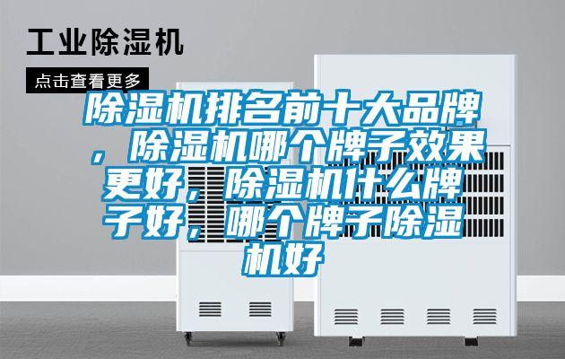 除濕機排名前十大品牌，除濕機哪個牌子效果更好，除濕機什么牌子好，哪個牌子除濕機好