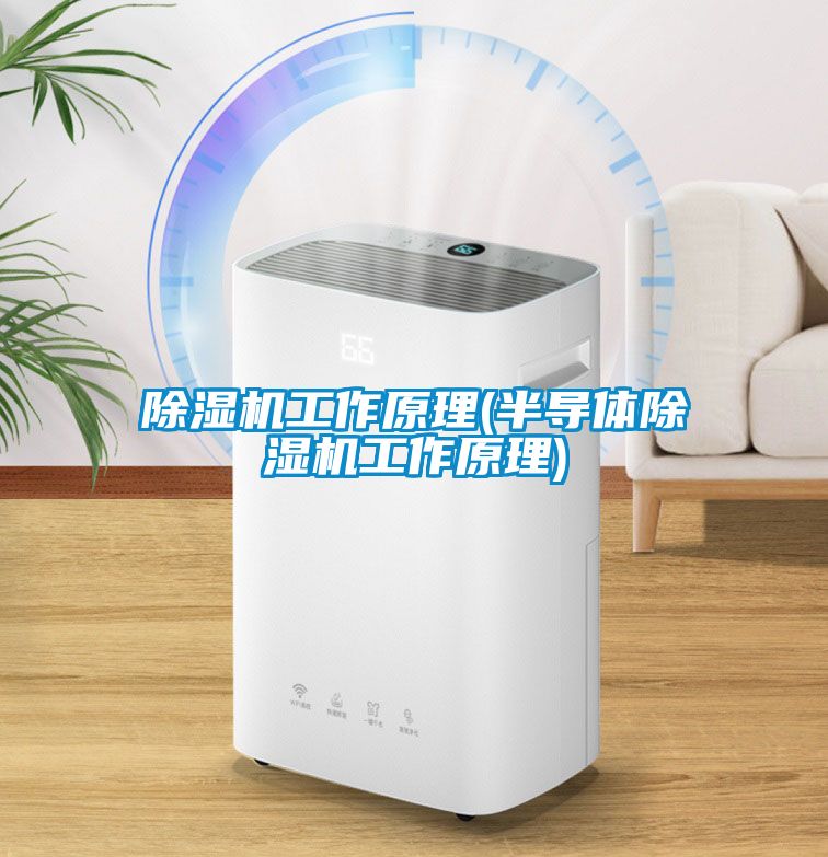 除濕機工作原理(半導(dǎo)體除濕機工作原理)