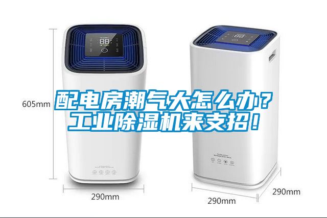 配電房潮氣大怎么辦？工業(yè)除濕機來支招！