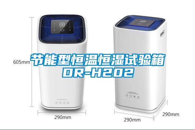節(jié)能型恒溫恒濕試驗箱DR-H202