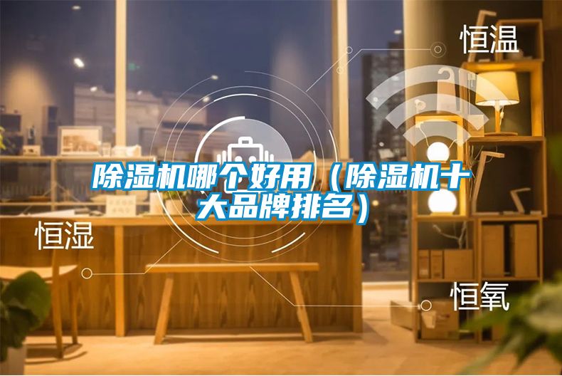 除濕機(jī)哪個好用（除濕機(jī)十大品牌排名）