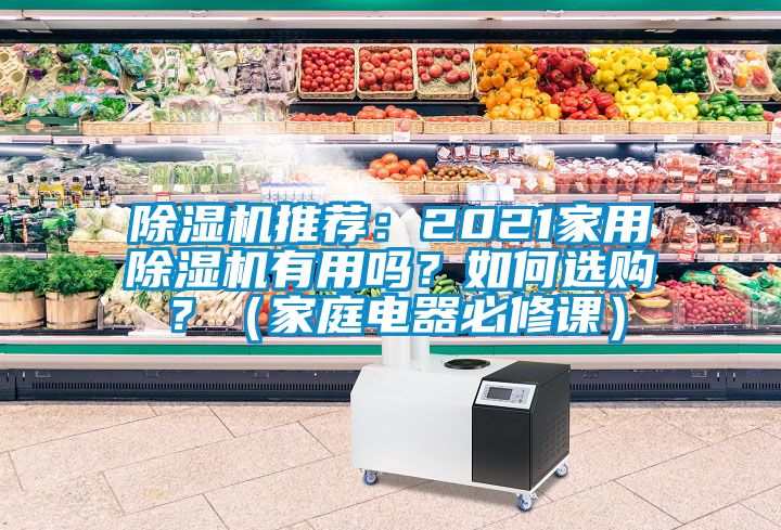 除濕機(jī)推薦：2021家用除濕機(jī)有用嗎？如何選購(gòu)？（家庭電器必修課）