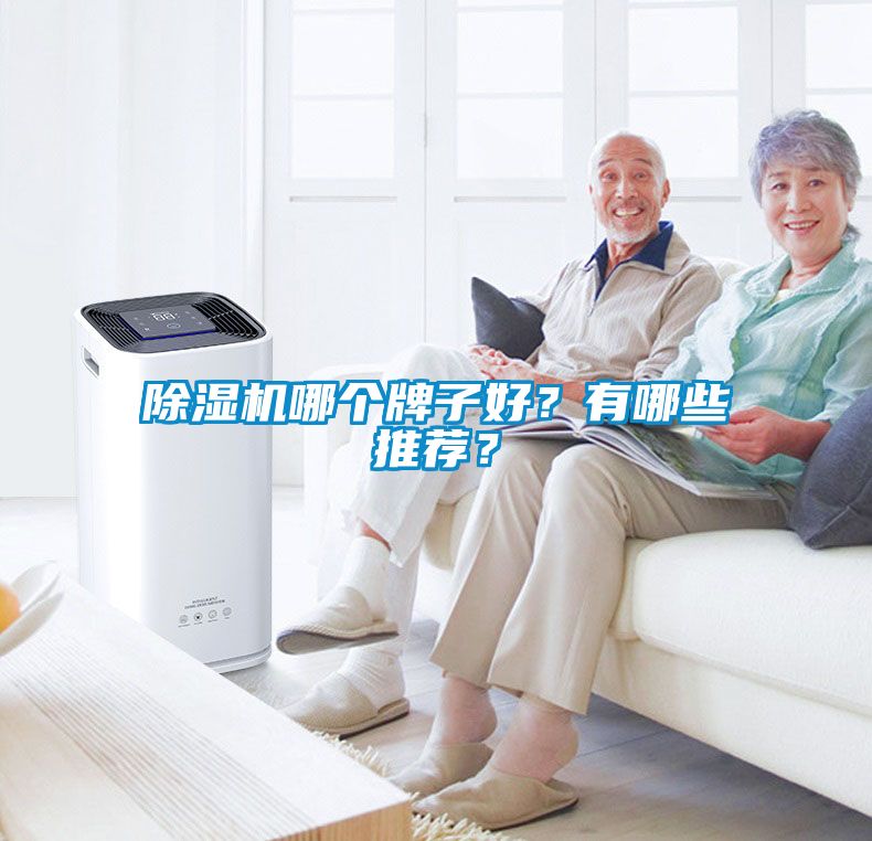 除濕機哪個牌子好？有哪些推薦？