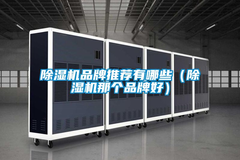 除濕機(jī)品牌推薦有哪些（除濕機(jī)那個品牌好）