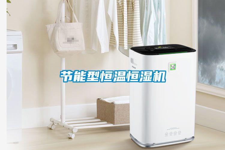 節(jié)能型恒溫恒濕機