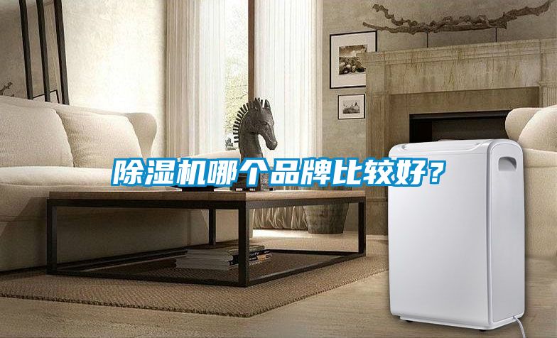 除濕機(jī)哪個品牌比較好？