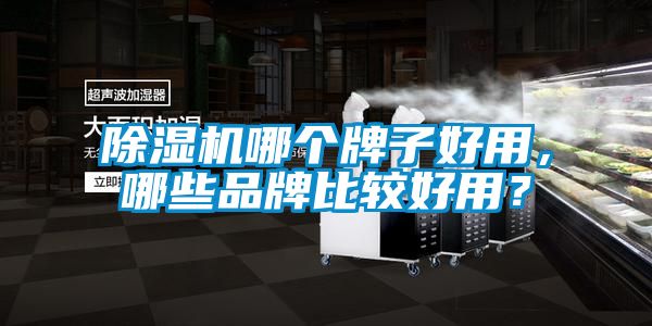 除濕機(jī)哪個(gè)牌子好用，哪些品牌比較好用？